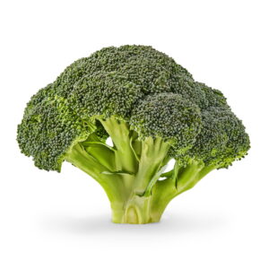 Particular person Contemporary Broccoli Crowns